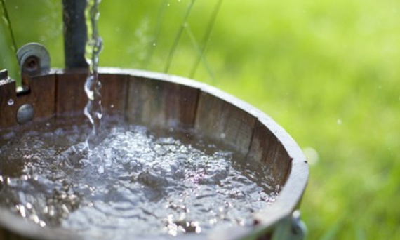Dlaczego warto pić wodę ze studni?